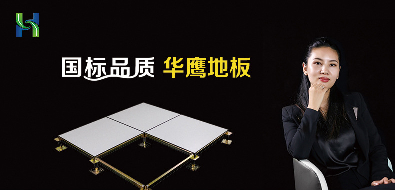 全鋼小無邊防靜電地板