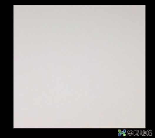 陶瓷架空地板正面.jpg 陶瓷架空地板正面.jpg